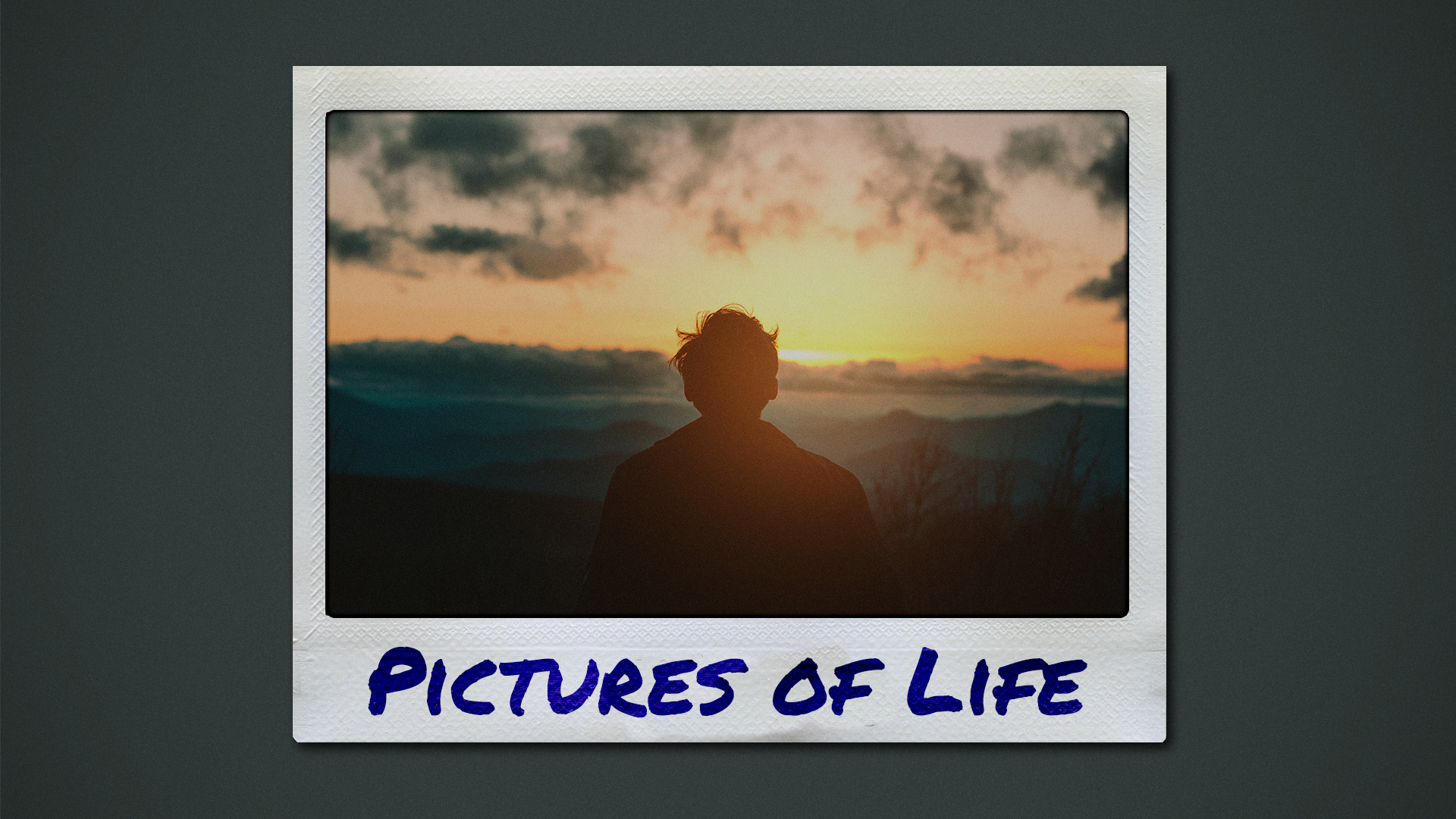 Pictures of Life