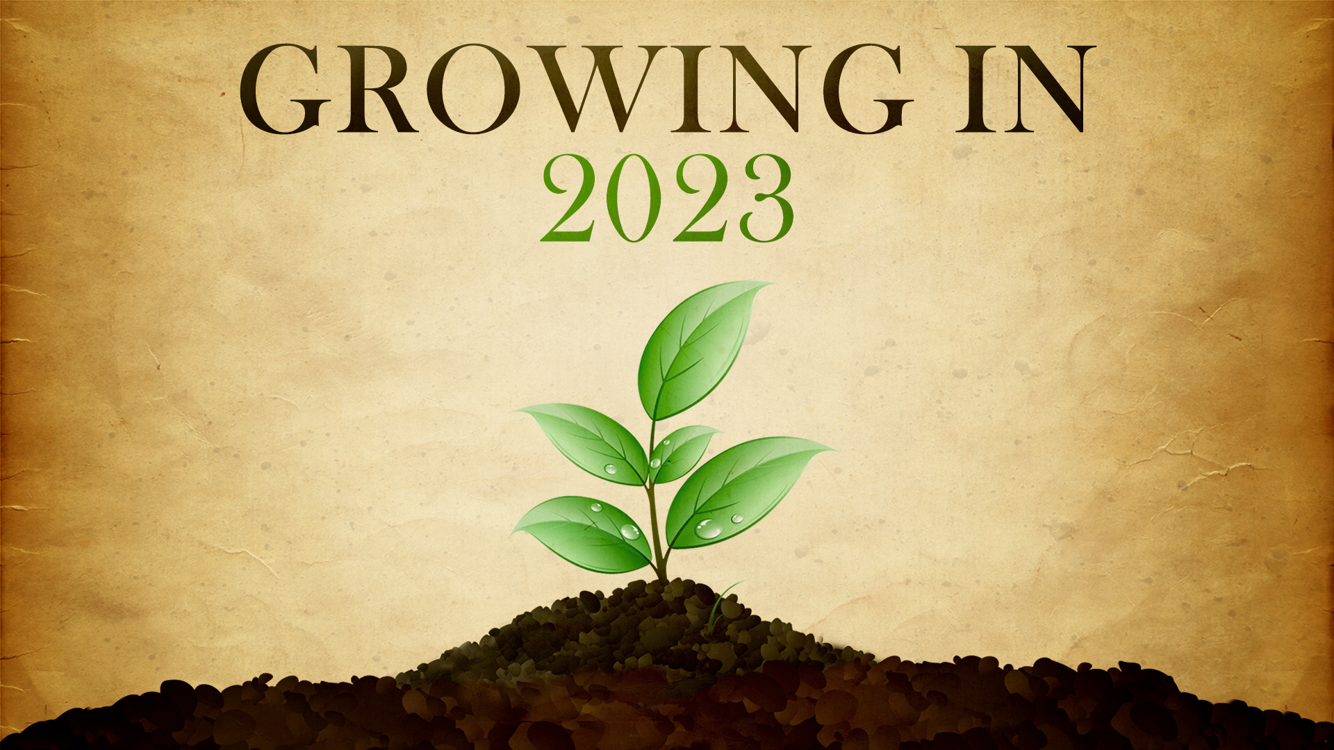 Growing in 2023