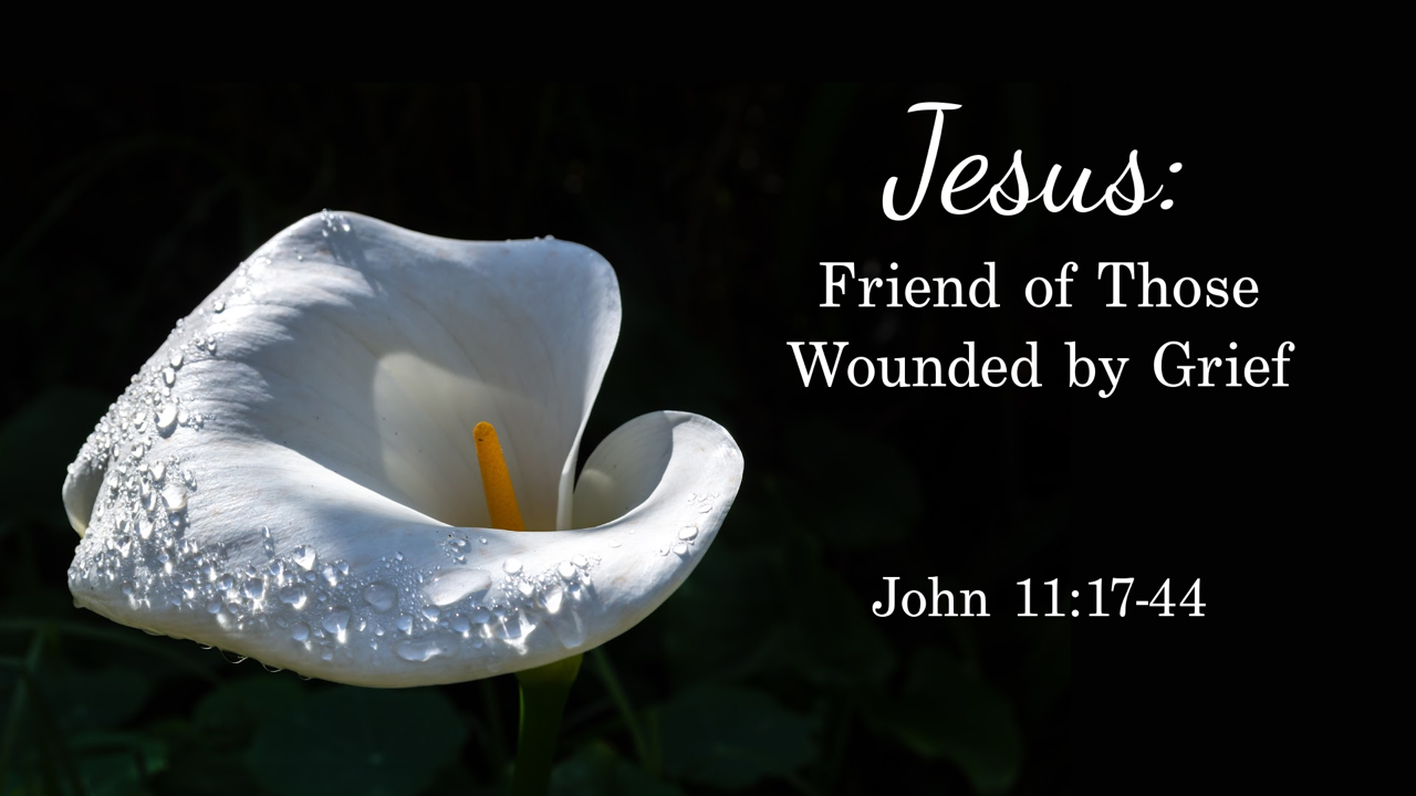 Jesus: Friend of Those Wounded by Grief